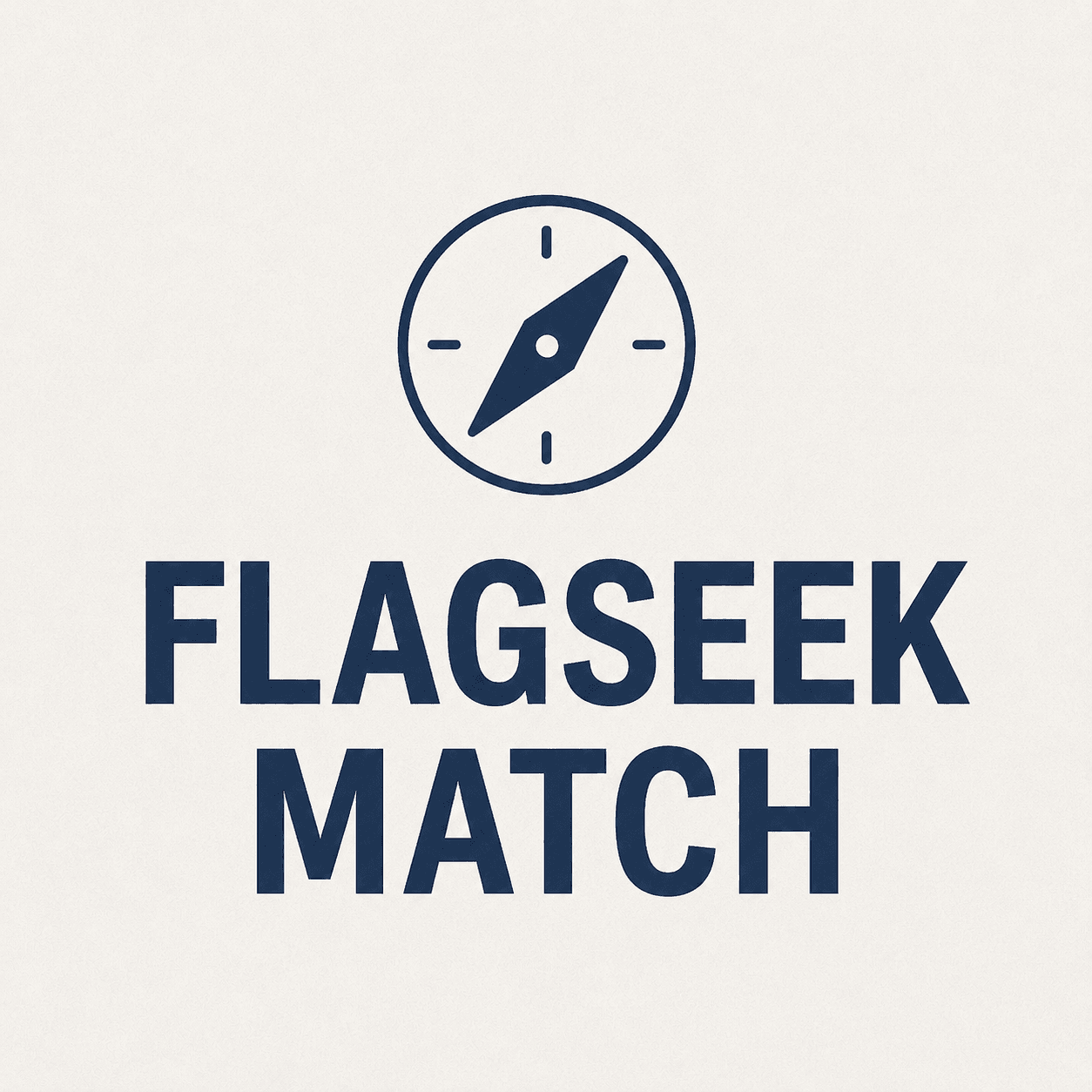 FlagSeek Match product image